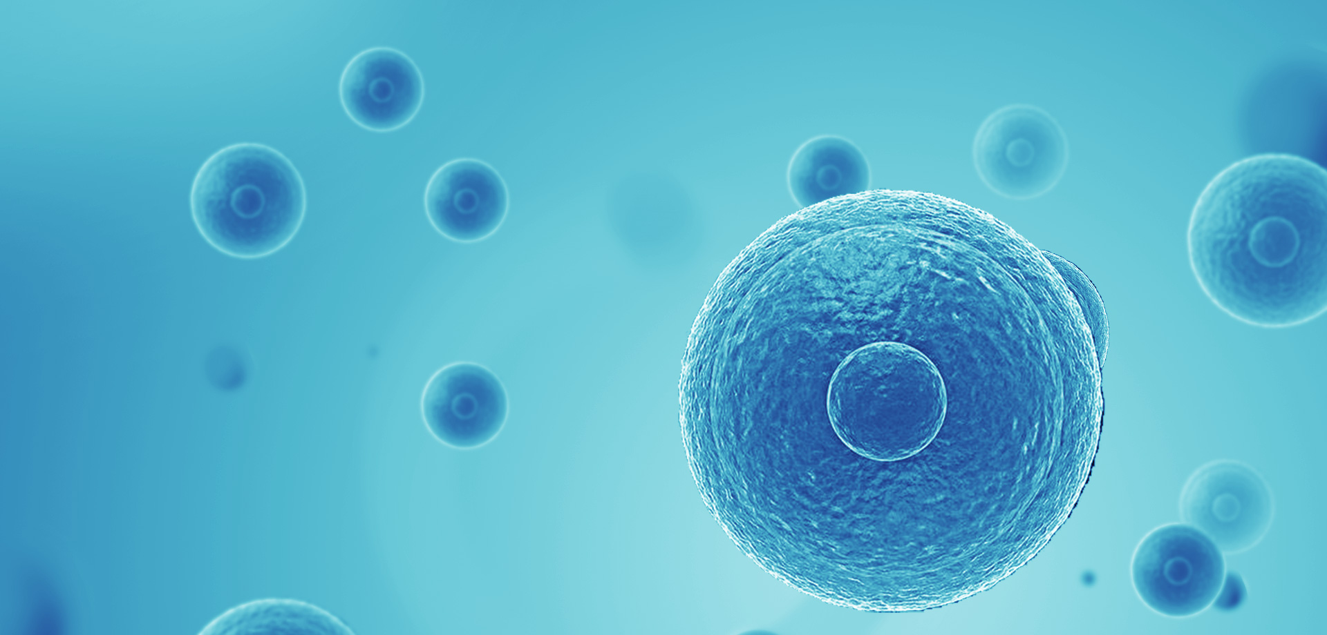 以患者需求為核心，驅(qū)動(dòng)細(xì)胞免疫治療創(chuàng)新，實(shí)現(xiàn)癌癥可控化并最終治愈。