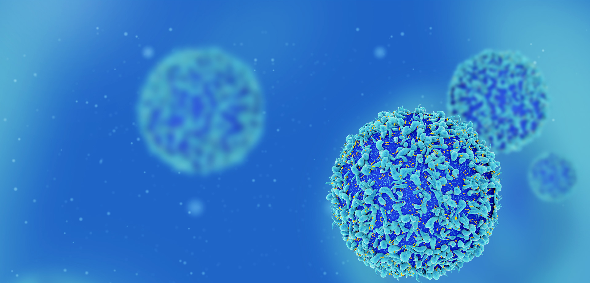 成為全球細(xì)胞免疫治療領(lǐng)域的領(lǐng)導(dǎo)者之一。